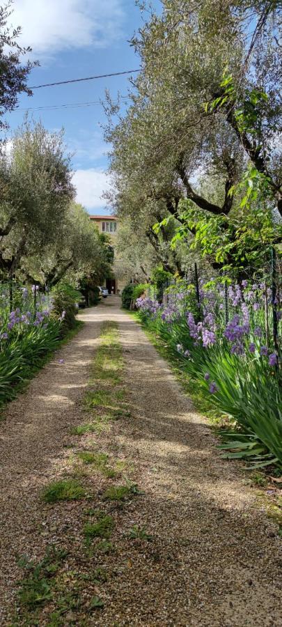 Ferienwohnung Agli Ippocastani Perugia Exterior foto
